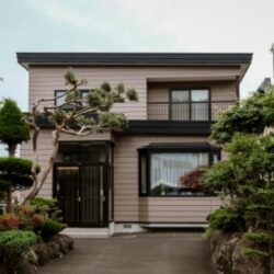 シロアリが出てしまう家の特徴とは？シロア